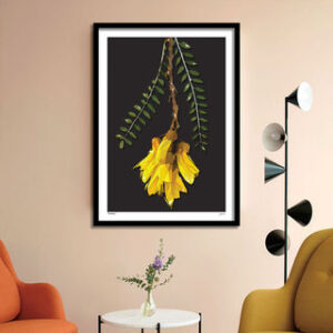 Kowhai Kowhai Print Art