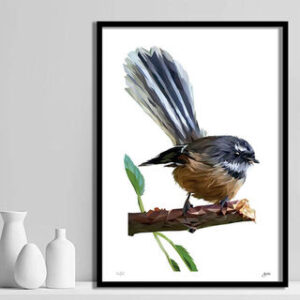 NewFantail Fantail Print Art