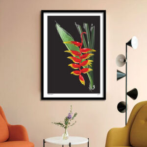 heliconians Heliconians Print Art