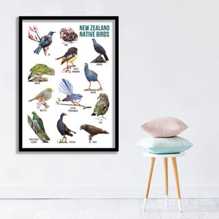 poster (1) Native New Zealand Birds Print Art
